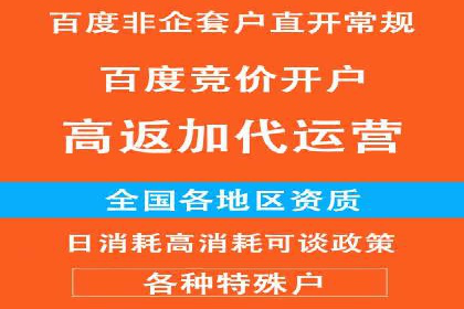 百度推广平台实战技巧：案例解析，提升广告效果